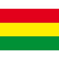 Beste Auslandskrankenversicherungen für Bolivien im Vergleich