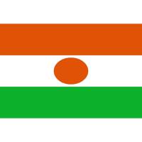 Beste Auslandskrankenversicherungen für Niger im Vergleich
